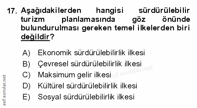 Soru 17