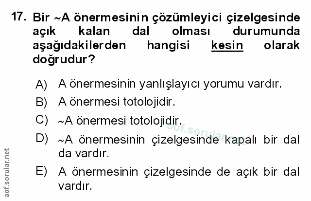 Soru 17