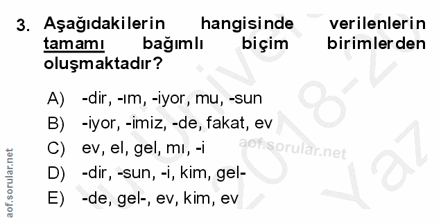 Soru 3