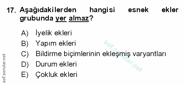 Soru 17