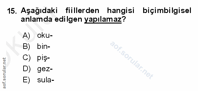 Soru 15
