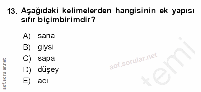 Soru 13