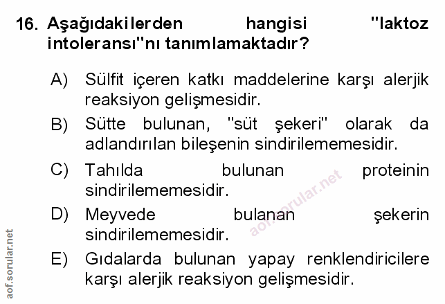 Soru 16