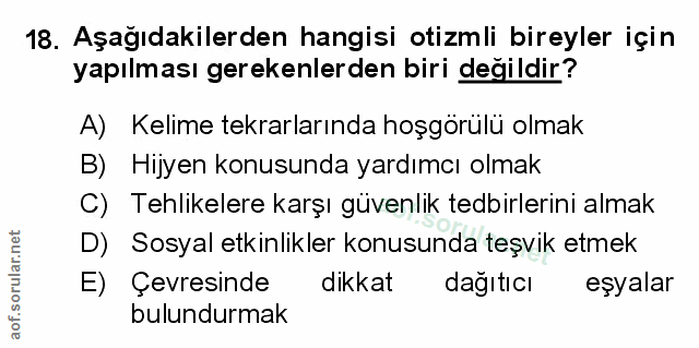 Soru 18