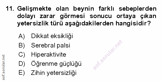 Soru 11