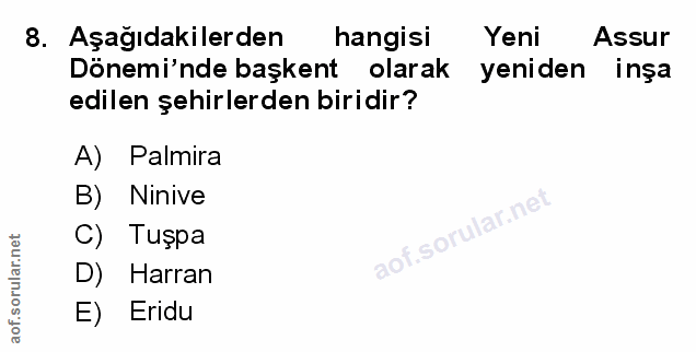 Soru 8