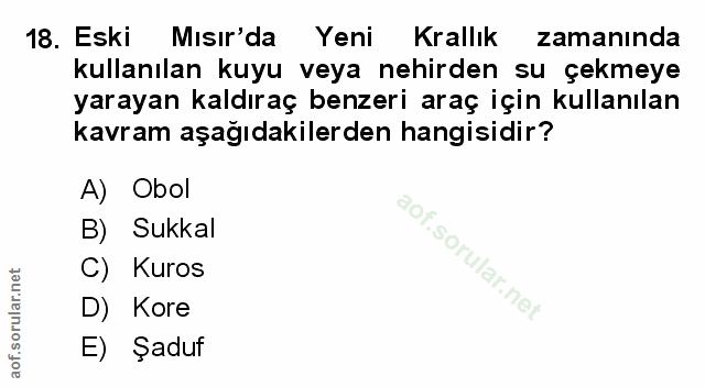 Soru 18