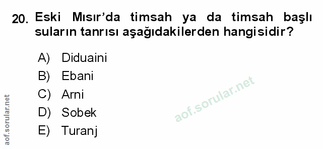 Soru 20