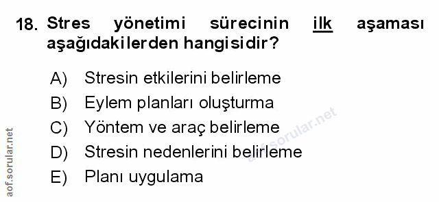 Soru 18