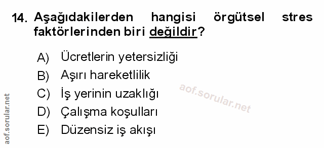 Soru 14