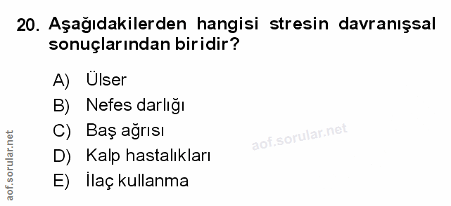 Soru 20