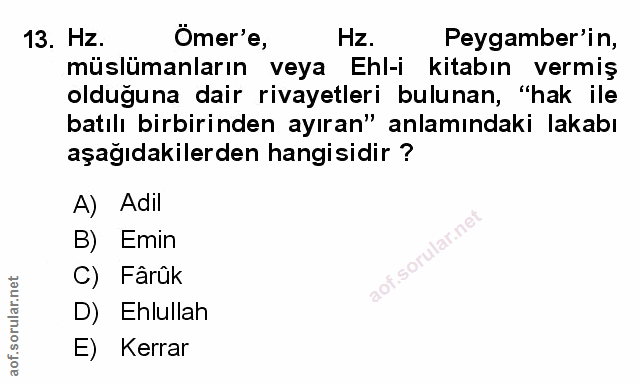 Soru 13