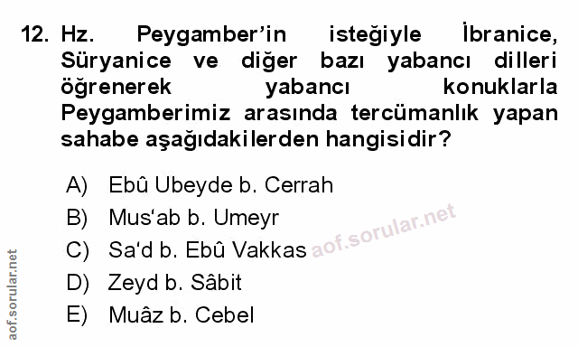 Soru 12