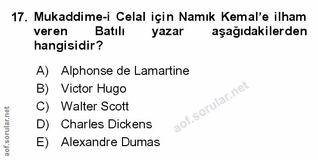 Soru 17