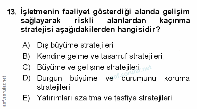 Soru 13