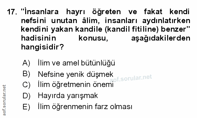 Soru 17