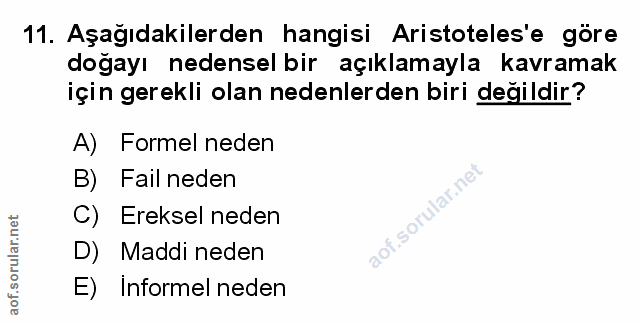 Soru 11
