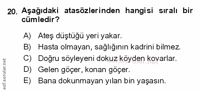 Soru 20