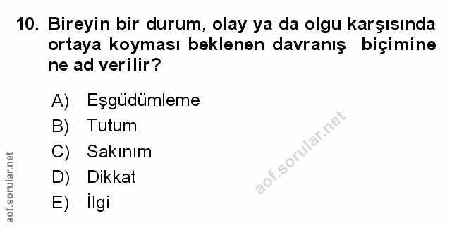 Soru 10