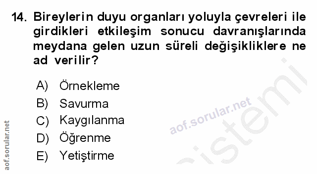 Soru 14