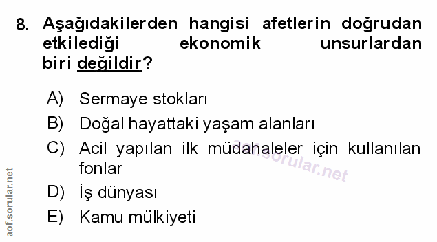 Soru 8
