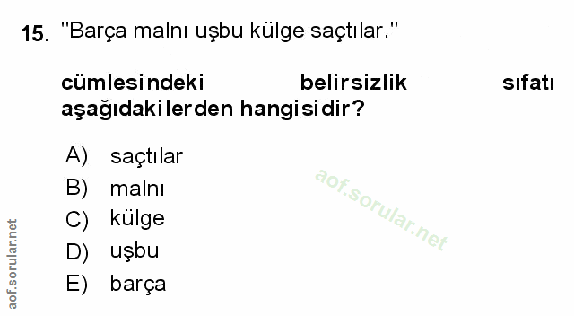 Soru 15