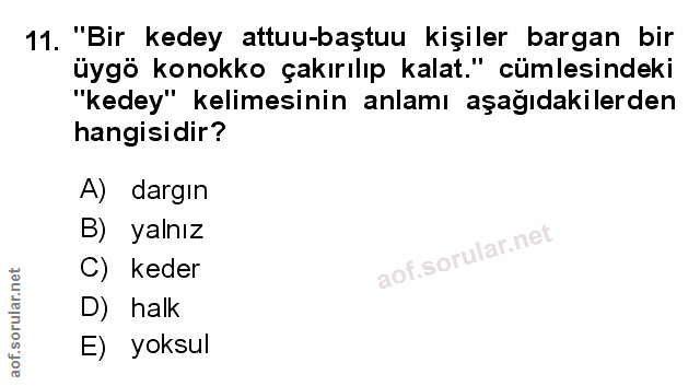 Soru 11