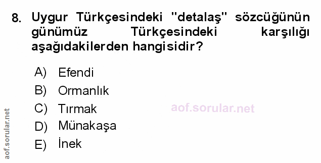 Soru 8