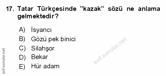 Soru 17