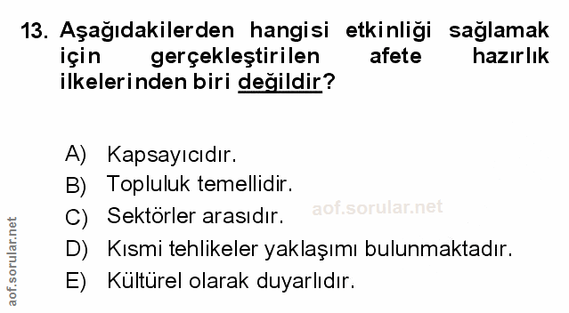 Soru 13