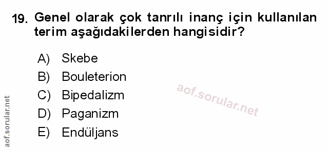 Soru 19