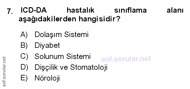 Soru 7