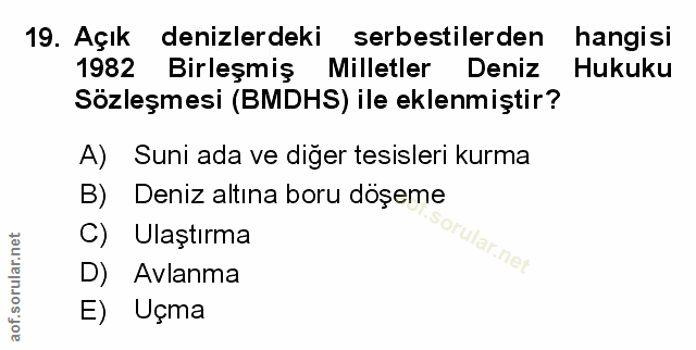 Soru 19