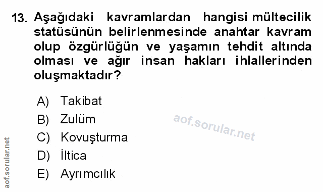 Soru 13