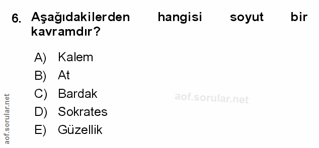Soru 6