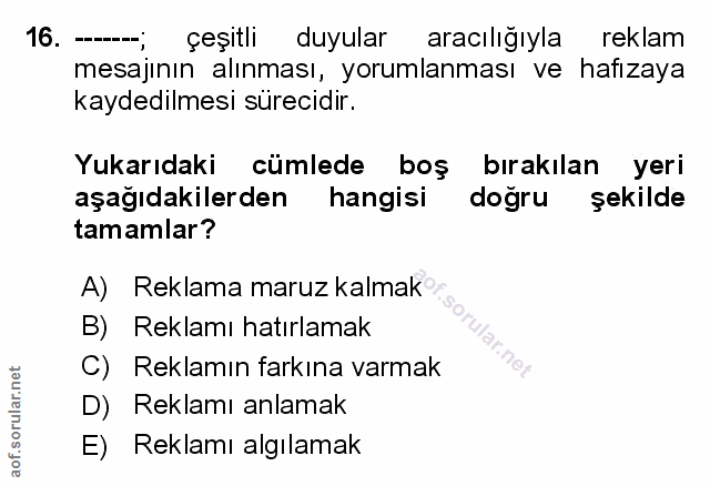 Soru 16