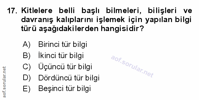Soru 17