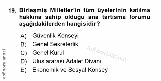 Soru 19
