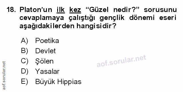 Soru 18
