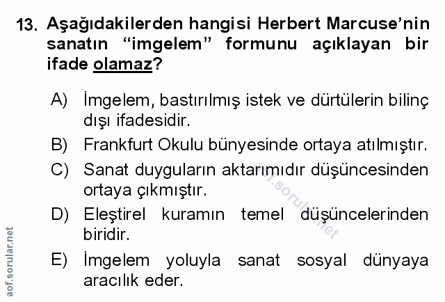 Soru 13