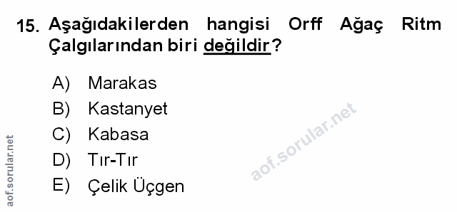 Soru 15