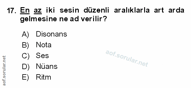 Soru 17