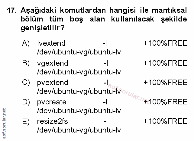 Soru 17