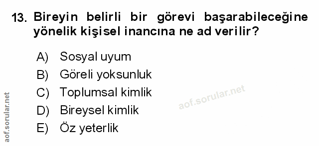 Soru 13