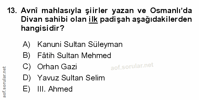Soru 13