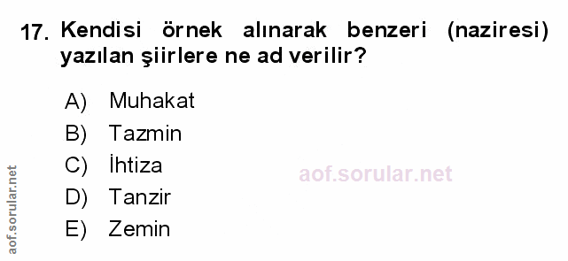 Soru 17