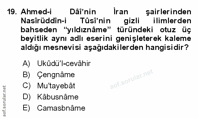 Soru 19