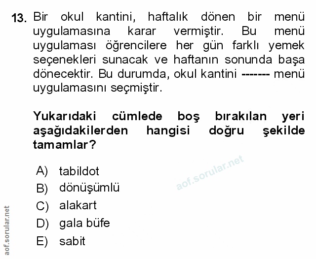 Soru 13
