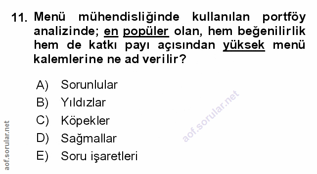 Soru 11