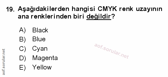 Soru 19